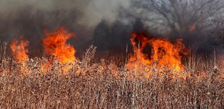 WILDFIRE, BURNING & FIRE SAFETY