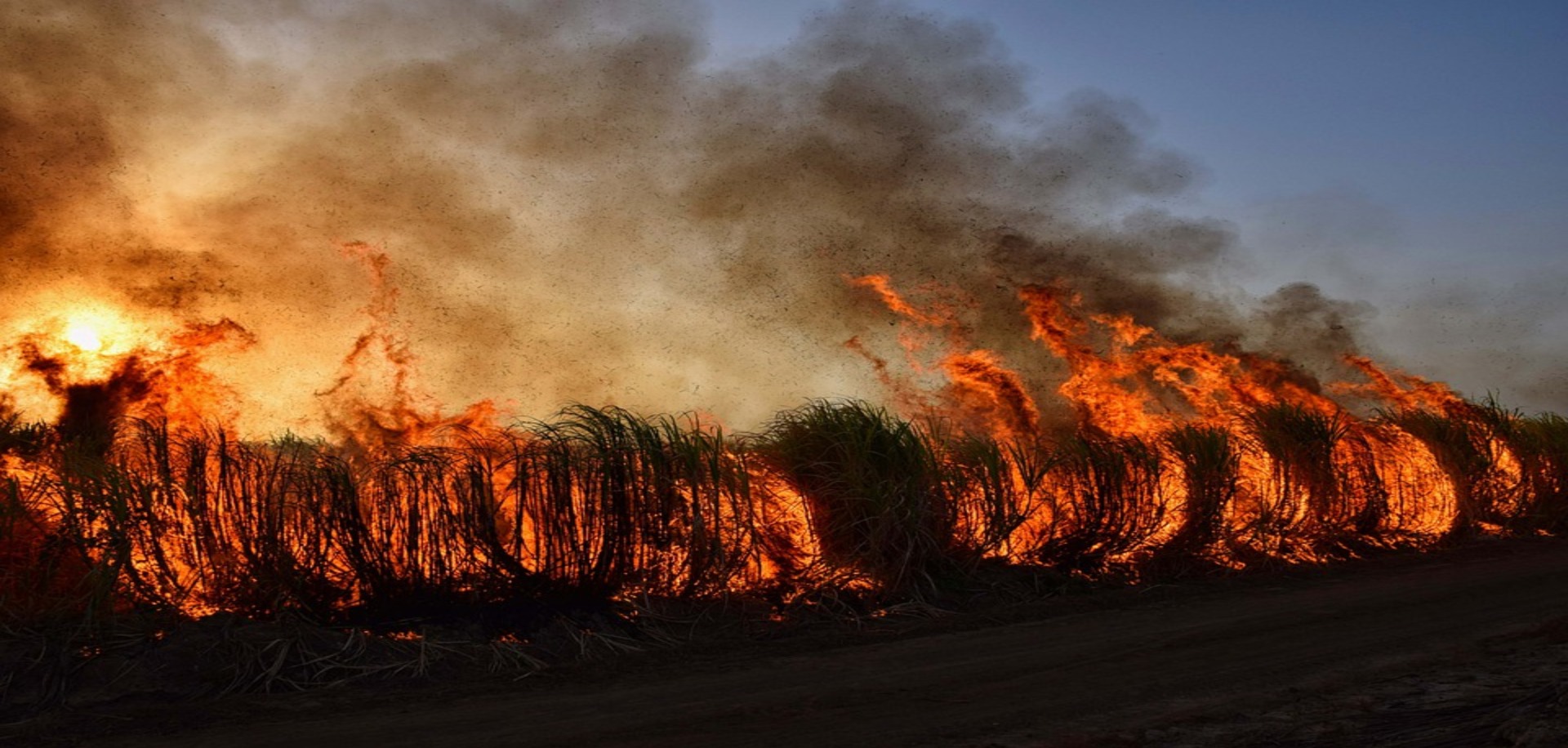 Burn Ban in Effect 