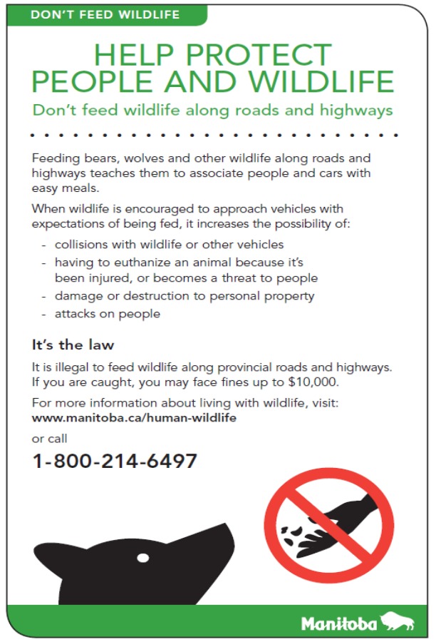 RM of St. Andrews - Wildlife Safety